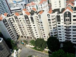 Ritz Mansion (D12), Apartment #463213051
